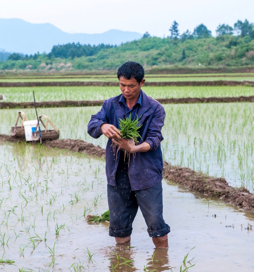 The Role of MSF in Addressing Neglected Tropical&nbsp;Diseases